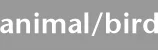 animal/bird